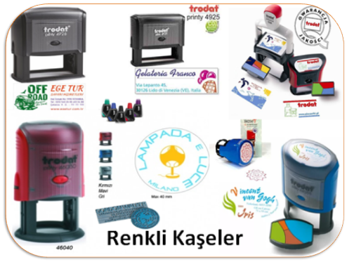  Erzincan Kaşe Hizmetleri, Erzincan Merkez Kaşe Hizmetleri, Çayırlı Kaşe Hizmetleri, İliç Kaşe Hizmetleri, Kemah Kaşe Hizmetleri, Kemaliye Kaşe Hizmetleri, Otlukbeli Kaşe Hizmetleri, Refahiye Kaşe Hizmetleri, Tercan Kaşe Hizmetleri, Üzümlü Kaşe Hizmetleri,