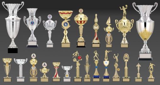   Ödül, Kupa, İstanbul Ödül, Kupa, İstanbul Avrupa Yakası Ödül, Kupa, Beyoğlu Ödül, Kupa, Beşiktaş Ödül, Kupa, Şişli  Ödül, Kupa, Kâğıthane Ödül, Kupa, Sarıyer Ödül, Kupa, Fatih Ödül, Kupa, Bakırköy Ödül, Kupa, Bahçelievler Ödül, Kupa, Zeytinburnu Ödül, Kupa, Güngören Ödül, Kupa, Bağcılar Ödül, Kupa, Bayrampaşa Ödül, Kupa, Esenler Ödül, Kupa, Başakşehir Ödül, Kupa, Sultangazi Ödül, Kupa, Gaziosmanpaşa Ödül, Kupa, Eyüpsultan Ödül, Kupa, Küçükçekmece Ödül, Kupa, Avcılar Ödül, Kupa, Beylikdüzü Ödül, Kupa, Esenyurt Ödül, Kupa, Büyükçekmece Ödül, Kupa, Arnavutköy  Ödül, Kupa, Çatalca Ödül, Kupa, Silivri Ödül, Kupa, Anadolu Yakası Ödül, Kupa, Üsküdar Ödül, Kupa, Ümraniye Ödül, Kupa, Kadıköy Ödül, Kupa, Ataşehir Ödül, Kupa, Tuzla Ödül, Kupa, Beykoz Ödül, Kupa, Çekmeköy Ödül, Kupa, Sultanbeyli Ödül, Kupa, Sancaktepe Ödül, Kupa, Pendik Ödül, Kupa, Kartal Ödül, Kupa, Maltepe Ödül, Kupa, Şile Ödül, Kupa, Gebze Ödül, Kupa 