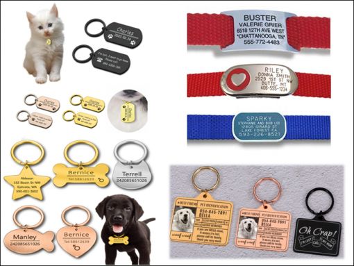 Evcil Hayvan İsimlikleri, Köpek Tasma İsimliği, Kedi Tasma İsimliği, İstanbul Evcil Hayvan İsimlikleri, Köpek Tasma İsimliği, Kedi Tasma İsimliği, Anadolu Yakası Evcil Hayvan İsimlikleri, Köpek Tasma İsimliği, Kedi Tasma İsimliği, Üsküdar   Evcil Hayvan İsimlikleri, Köpek Tasma İsimliği, Kedi Tasma İsimliği, Ümraniye Evcil Hayvan İsimlikleri, Köpek Tasma İsimliği, Kedi Tasma İsimliği, Kadıköy Evcil Hayvan İsimlikleri, Köpek Tasma İsimliği, Kedi Tasma İsimliği, Ataşehir   Evcil Hayvan İsimlikleri, Köpek Tasma İsimliği, Kedi Tasma İsimliği, Çekmeköy Evcil Hayvan İsimlikleri, Köpek Tasma İsimliği, Kedi Tasma İsimliği, Pendik Evcil Hayvan İsimlikleri, Köpek Tasma İsimliği, Kedi Tasma İsimliği, Kartal   Evcil Hayvan İsimlikleri, Köpek Tasma İsimliği, Kedi Tasma İsimliği, Maltepe Evcil Hayvan İsimlikleri, Köpek Tasma İsimliği, Kedi Tasma İsimliği, Gebze Evcil Hayvan İsimlikleri, Köpek Tasma İsimliği, Kedi Tasma İsimliği,