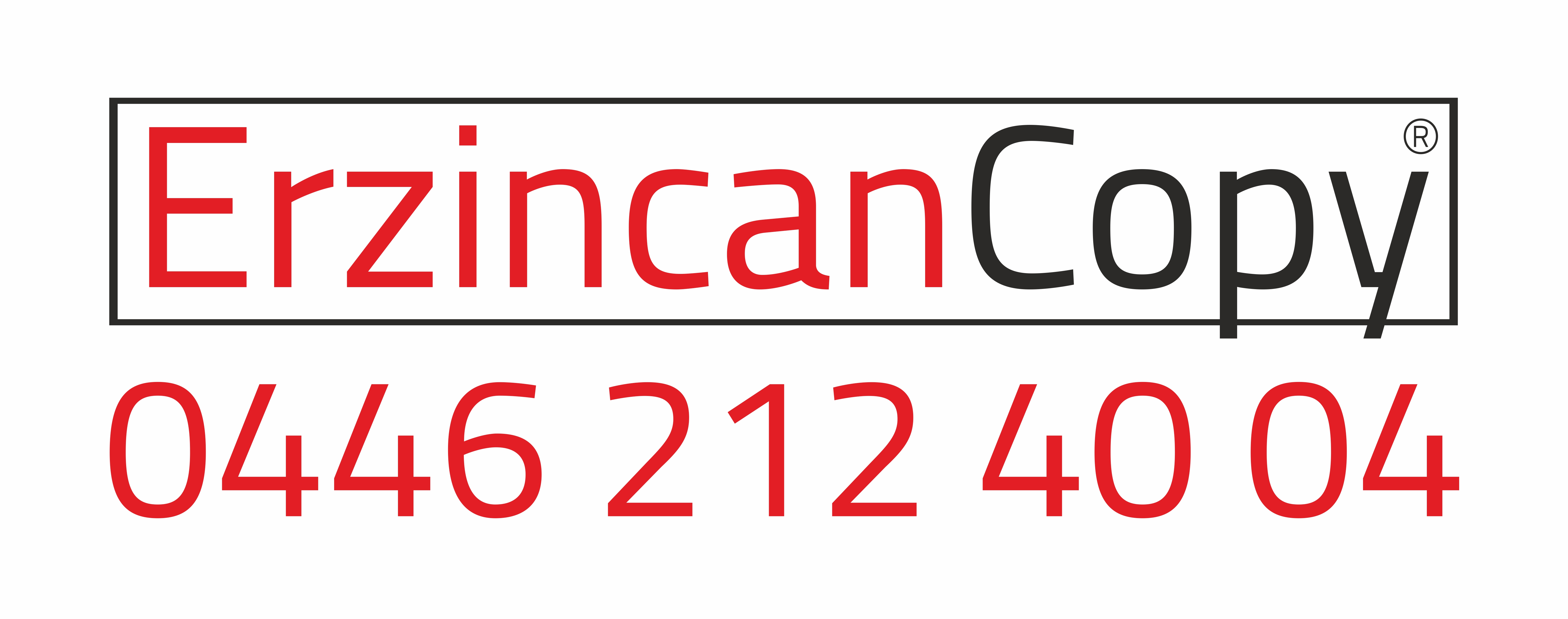 Erzincan Copy_Logo